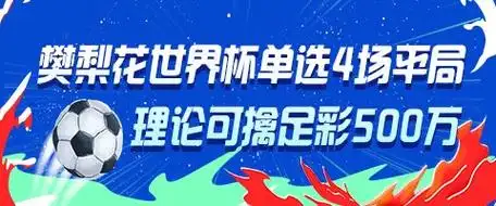 樊梨花附体？神秘玩家世界杯连平4场，理论可中足彩500万大奖